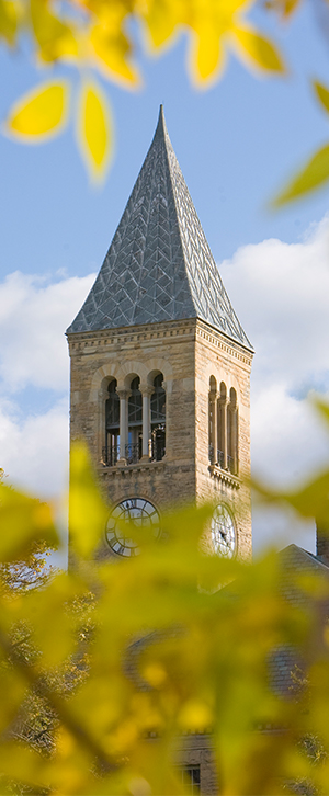 McGraw Tower in fall